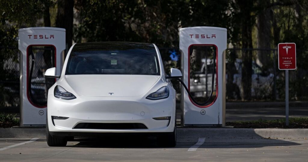 Court revives Tesla suit challenging Louisiana sales ban | Business