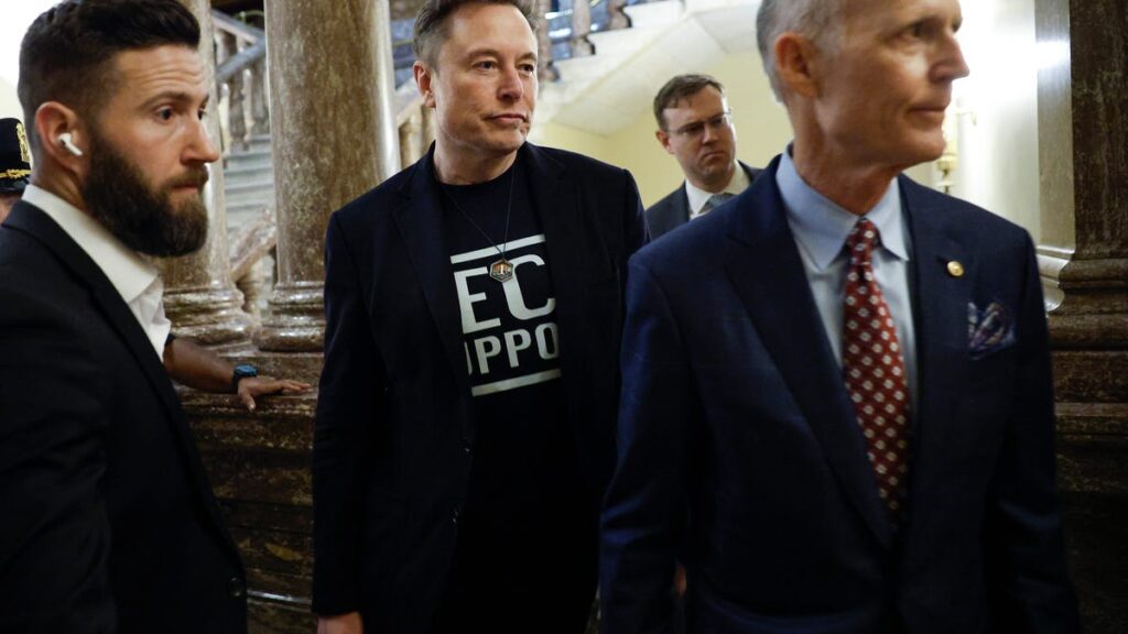 Tesla stock selloff, Elon Musk politics concerns are overblown: Wedbush